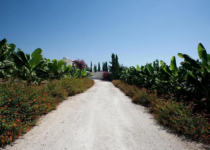 Banana Sunset Villas Paphos