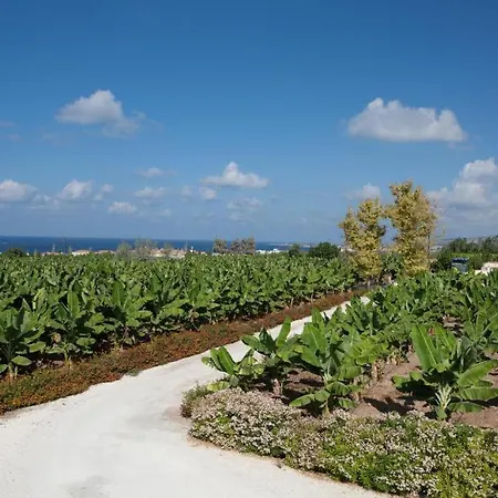 Villa Banana Sunset Paphos