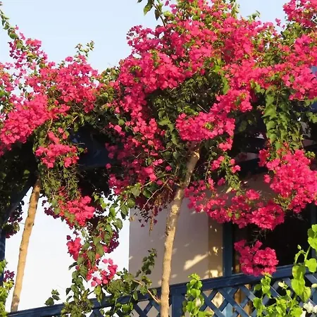 Villa Banana Sunset Villas Paphos