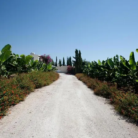 Banana Sunset Villas Paphos