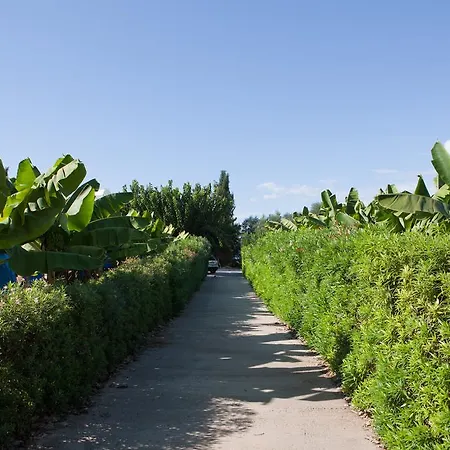 Banana Sunset Villas Villa Paphos