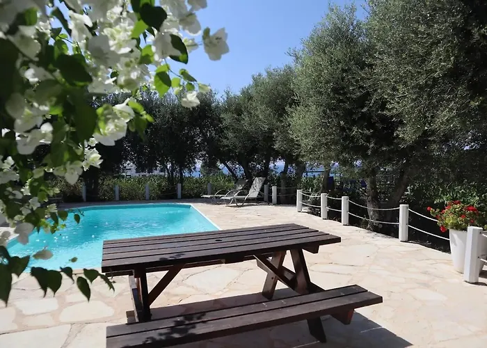 Banana Sunset فيلة *