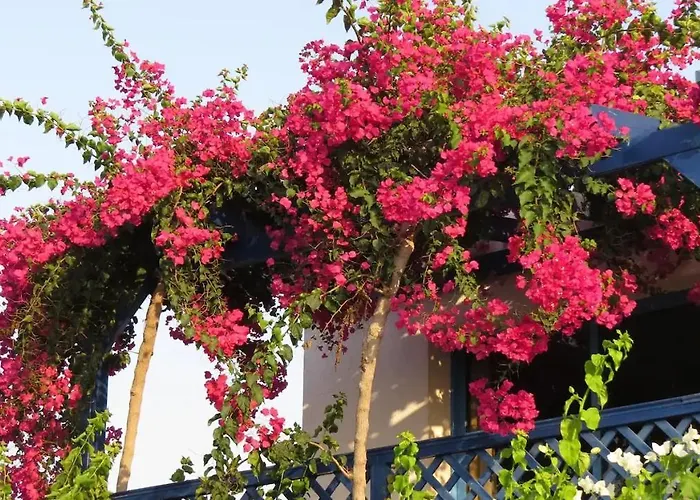 וילה Banana Sunset פאפוס