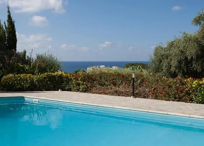 فيلة Banana Sunset