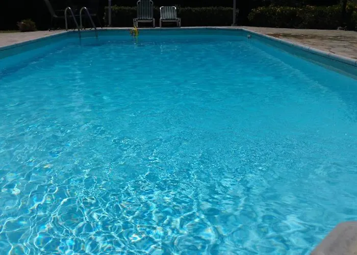 فيلة Banana Sunset