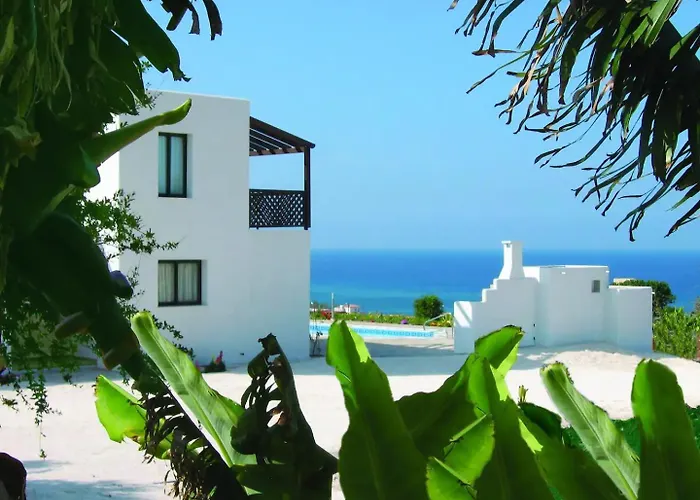 فيلة Banana Sunset *