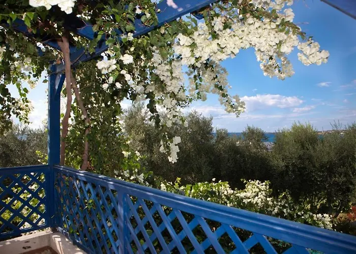 Banana Sunset וילה פאפוס