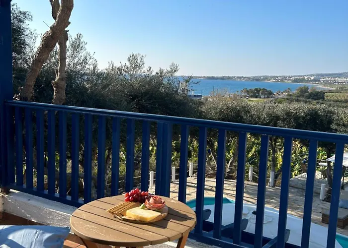 فيلة Banana Sunset