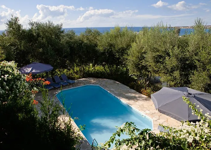 Banana Sunset فيلة