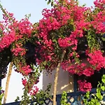 Villa Banana Sunset Villas Paphos