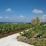 Villa Banana Sunset Villas Paphos