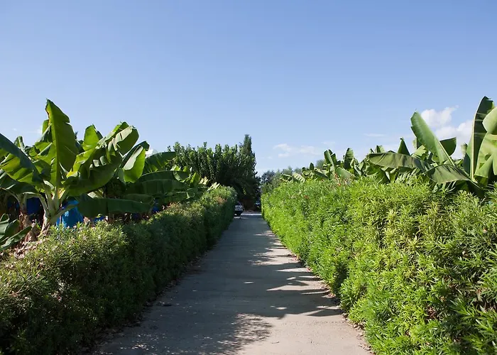 Banana Sunset Villa Paphos